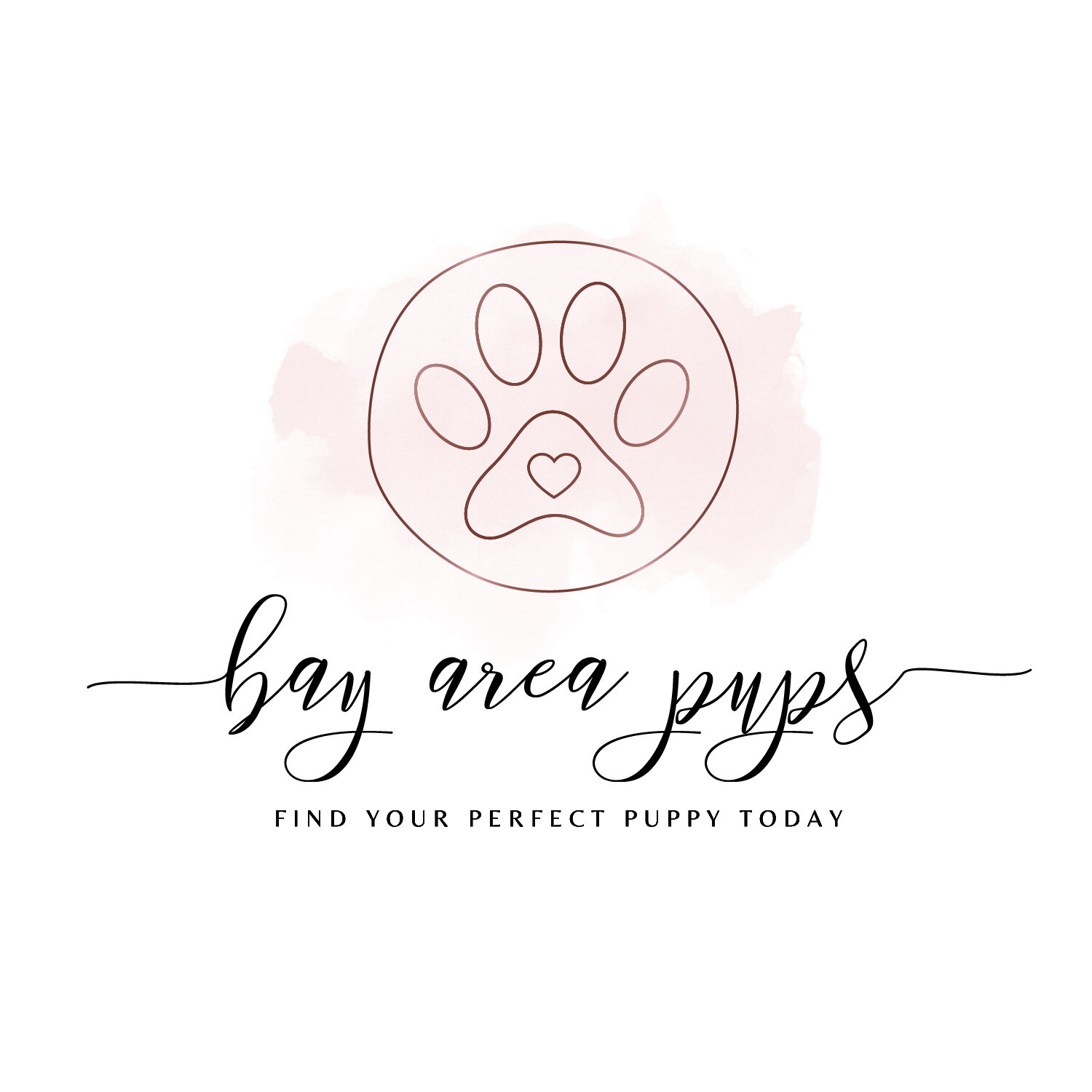 Bay Area Pups cover